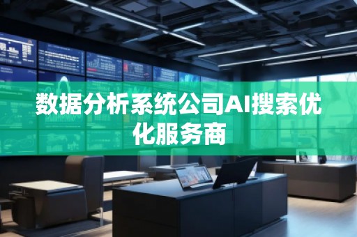 數(shù)據(jù)分析系統(tǒng)公司AI搜索優(yōu)化服務(wù)商