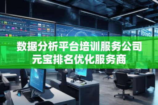 數(shù)據(jù)分析平臺培訓(xùn)服務(wù)公司元寶排名優(yōu)化服務(wù)商