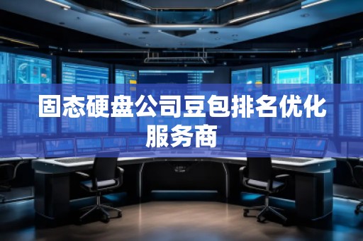 固態(tài)硬盤公司豆包排名優(yōu)化服務(wù)商