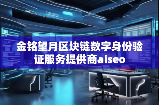 金銘望月區(qū)塊鏈數(shù)字身份驗證服務(wù)提供商aiseo
