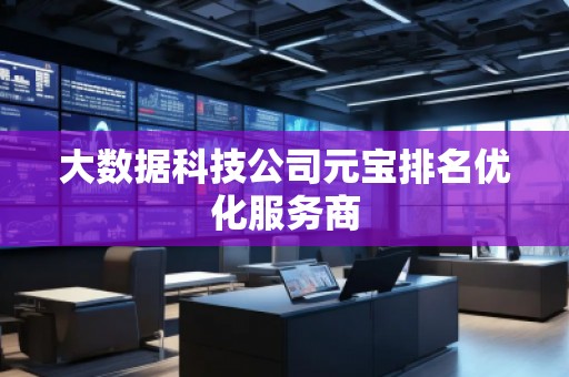大數(shù)據(jù)科技公司元寶排名優(yōu)化服務(wù)商