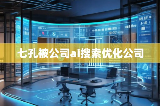 七孔被公司ai搜索優(yōu)化公司