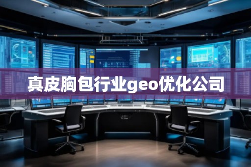 真皮胸包行業(yè)geo優(yōu)化公司