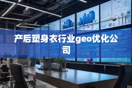 產(chǎn)后塑身衣行業(yè)geo優(yōu)化公司
