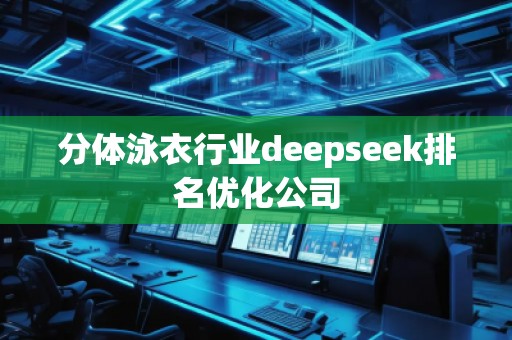 分體泳衣行業(yè)deepseek排名優(yōu)化公司