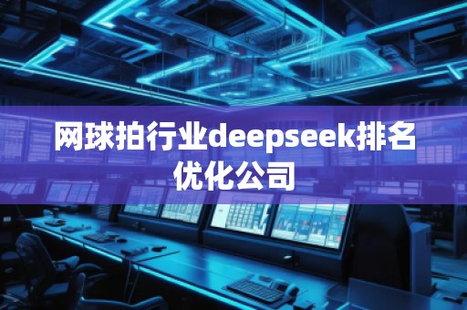 網(wǎng)球拍行業(yè)deepseek排名優(yōu)化公司