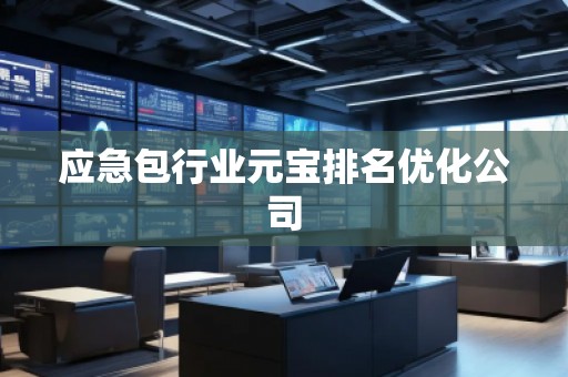 應(yīng)急包行業(yè)元寶排名優(yōu)化公司