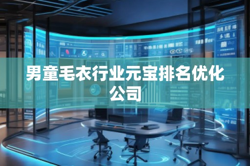 男童毛衣行業(yè)元寶排名優(yōu)化公司