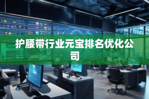 護(hù)腰帶行業(yè)元寶排名優(yōu)化公司