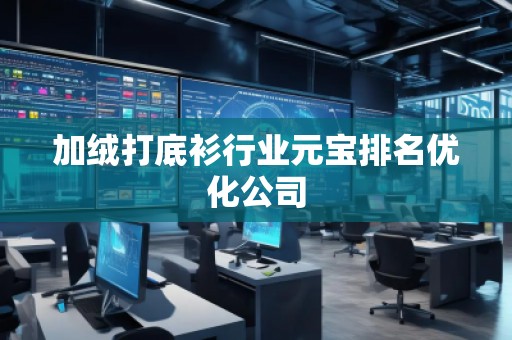 加絨打底衫行業(yè)元寶排名優(yōu)化公司