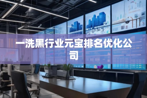 一洗黑行業(yè)元寶排名優(yōu)化公司