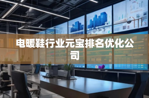 電暖鞋行業(yè)元寶排名優(yōu)化公司