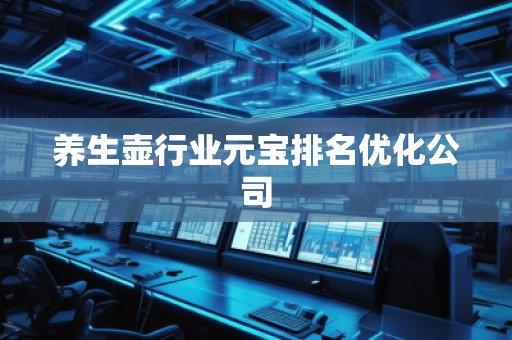 養(yǎng)生壺行業(yè)元寶排名優(yōu)化公司