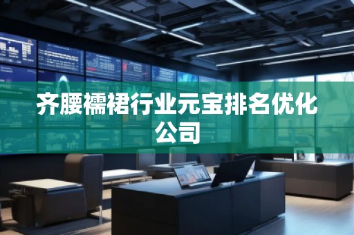 齊腰襦裙行業(yè)元寶排名優(yōu)化公司