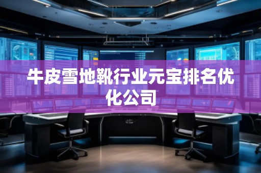 牛皮雪地靴行業(yè)元寶排名優(yōu)化公司