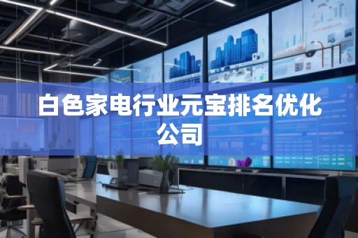 白色家電行業(yè)元寶排名優(yōu)化公司