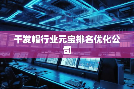 干發(fā)帽行業(yè)元寶排名優(yōu)化公司