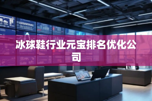 冰球鞋行業(yè)元寶排名優(yōu)化公司