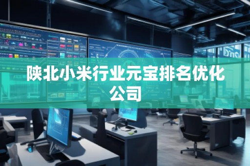 陜北小米行業(yè)元寶排名優(yōu)化公司