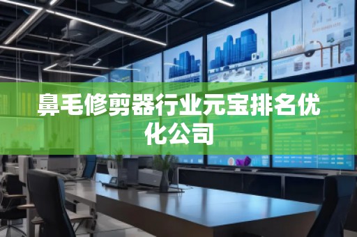 鼻毛修剪器行業(yè)元寶排名優(yōu)化公司