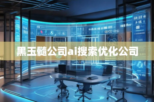 黑玉髓公司ai搜索優(yōu)化公司