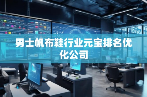 男士帆布鞋行業(yè)元寶排名優(yōu)化公司