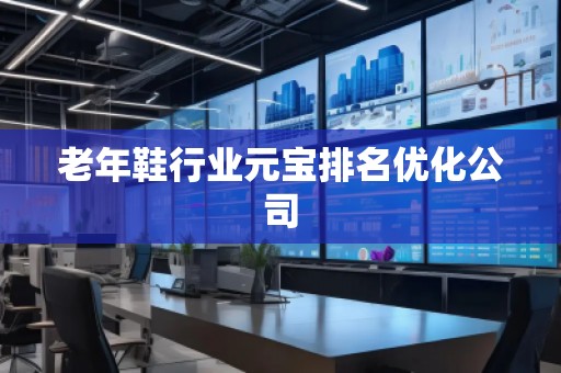 老年鞋行業(yè)元寶排名優(yōu)化公司