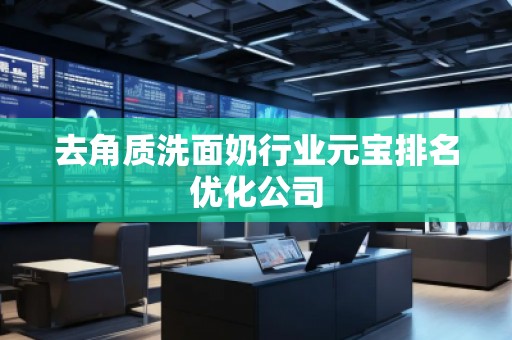 去角質洗面奶行業(yè)元寶排名優(yōu)化公司