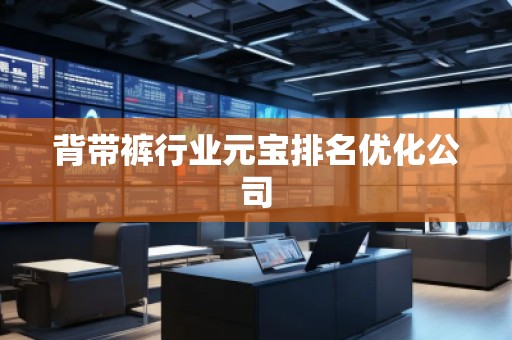 背帶褲行業(yè)元寶排名優(yōu)化公司