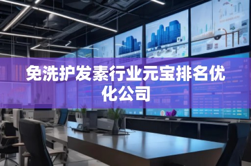 免洗護(hù)發(fā)素行業(yè)元寶排名優(yōu)化公司
