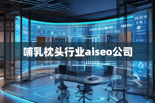 哺乳枕頭行業(yè)aiseo公司