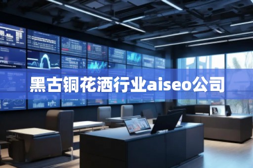 黑古銅花灑行業(yè)aiseo公司