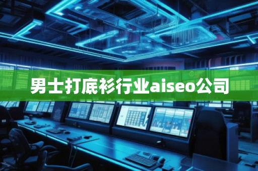 男士打底衫行業(yè)aiseo公司