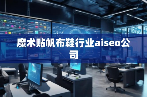 魔術(shù)貼帆布鞋行業(yè)aiseo公司