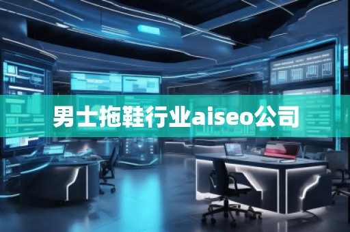 男士拖鞋行業(yè)aiseo公司