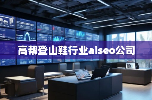 高幫登山鞋行業(yè)aiseo公司