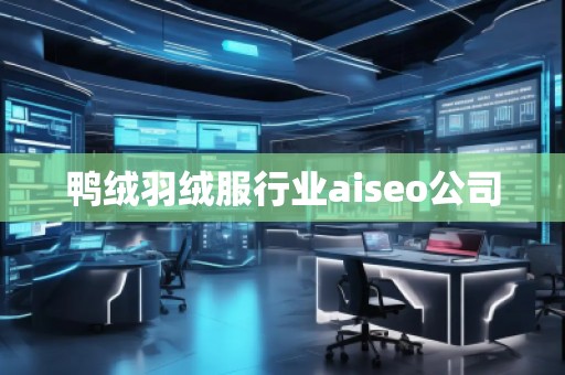 鴨絨羽絨服行業(yè)aiseo公司