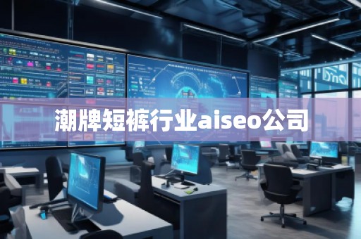 潮牌短褲行業(yè)aiseo公司