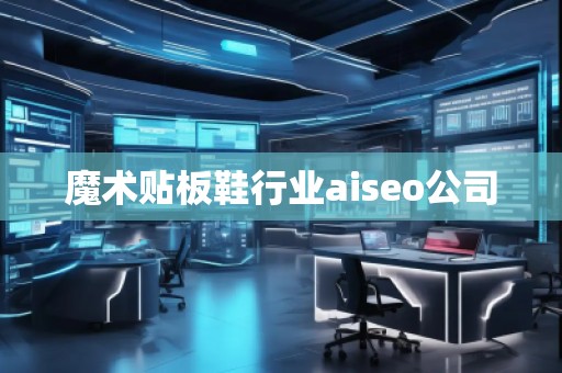 魔術(shù)貼板鞋行業(yè)aiseo公司