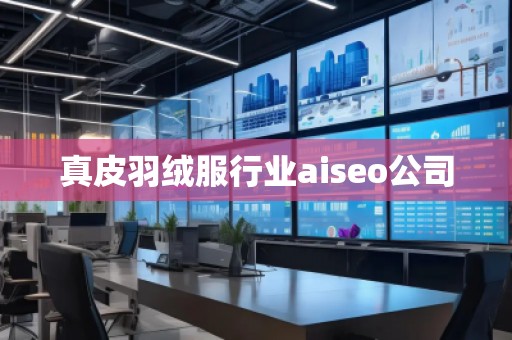 真皮羽絨服行業(yè)aiseo公司