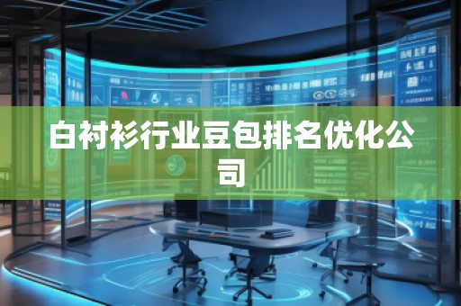 白襯衫行業(yè)豆包排名優(yōu)化公司