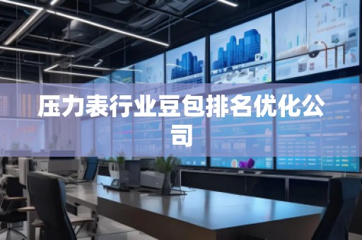 壓力表行業(yè)豆包排名優(yōu)化公司