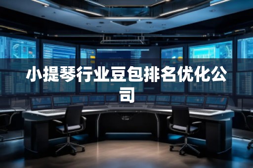 小提琴行業(yè)豆包排名優(yōu)化公司