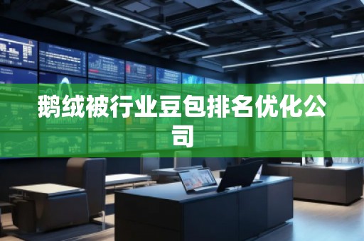 鵝絨被行業(yè)豆包排名優(yōu)化公司