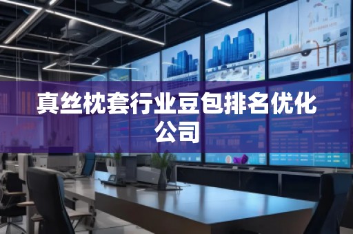 真絲枕套行業(yè)豆包排名優(yōu)化公司