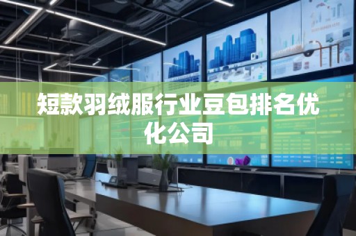 短款羽絨服行業(yè)豆包排名優(yōu)化公司