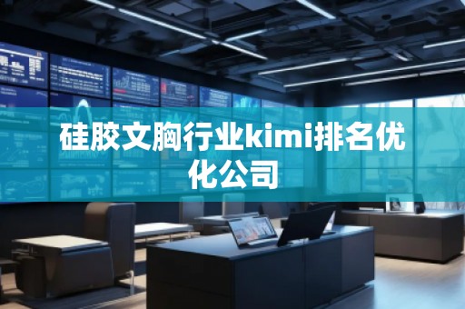 硅膠文胸行業(yè)kimi排名優(yōu)化公司