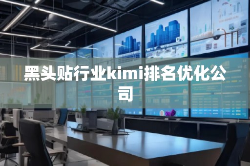 黑頭貼行業(yè)kimi排名優(yōu)化公司