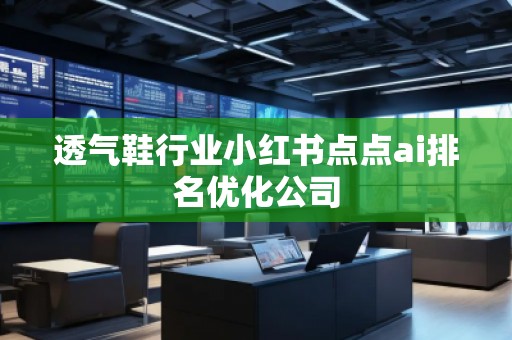 透氣鞋行業(yè)小紅書點(diǎn)點(diǎn)ai排名優(yōu)化公司
