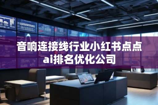 音響連接線行業(yè)小紅書點點ai排名優(yōu)化公司